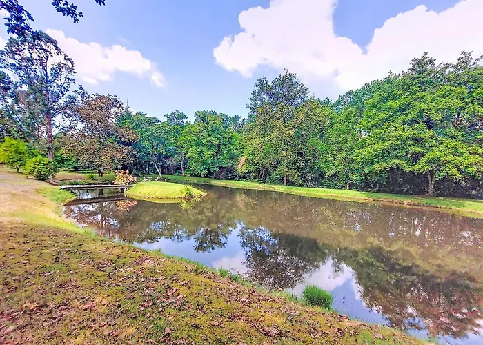 Caloye By Interhome Magescq